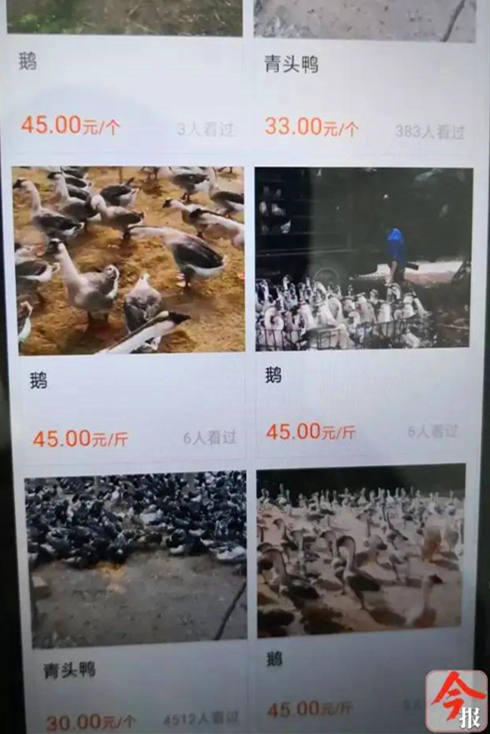 警惕！桂林人购买家禽要当心了，已经有人被骗！