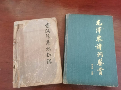 忘不了，恩平文史专家胡东平！