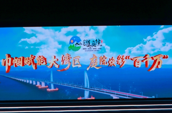 庭院绣春色 巾帼绘振兴 珠海“创美庭院”绽放湾区乡村新图景